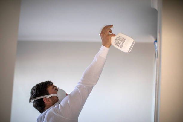 Best Mold Damage Repair  in Mount Carmel, IL