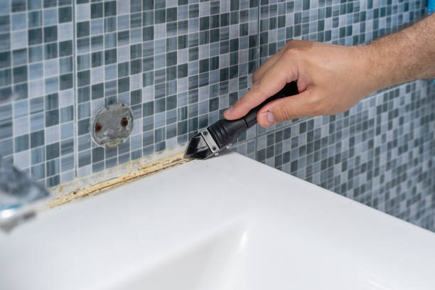 Best Black Mold Removal  in Mount Carmel, IL