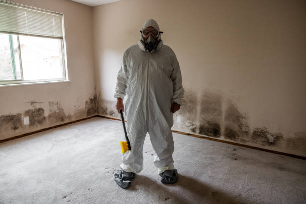 Best Mold Cleaning Services  in Mount Carmel, IL